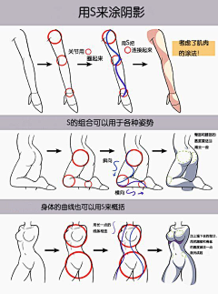 金毛鼠采集到绘画