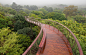 Tree Canopy Walkway at Kirstenbosch