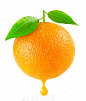 橙子和橘子的图片