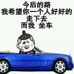 不爬墙的壁虎采集到表情包