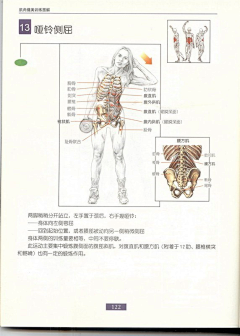 4587zxk采集到健身