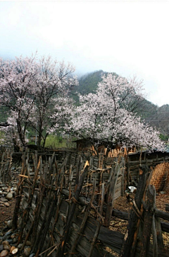 系梦Shannon采集到【场景】风景/山水/自然