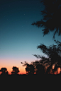 Sunset, tree and sky HD photo by Matias Pugliese (@mpugliese) on Unsplash : Download this photo in Plomer, Argentina by Matias Pugliese (@mpugliese)