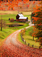 Landscape and sight pictures / autumn