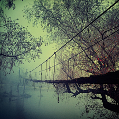 花花野兽采集到看风景，只能看到心情。