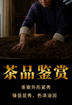 北行见杏花采集到茶