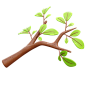 树枝叶3D插图