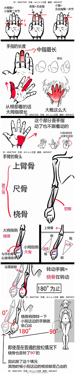 蒹葭、苍苍采集到手臂、肩