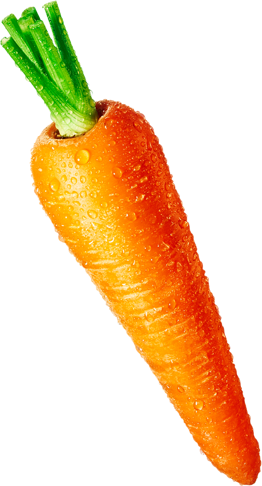 胡萝卜 免抠图 素材 