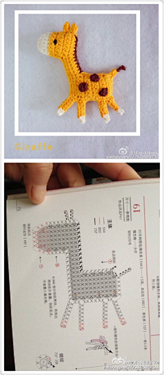 福菌采集到萌彩