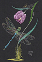 Dragonfly and Fritillary Flower, embroidered by Helen M. Stevens.: 