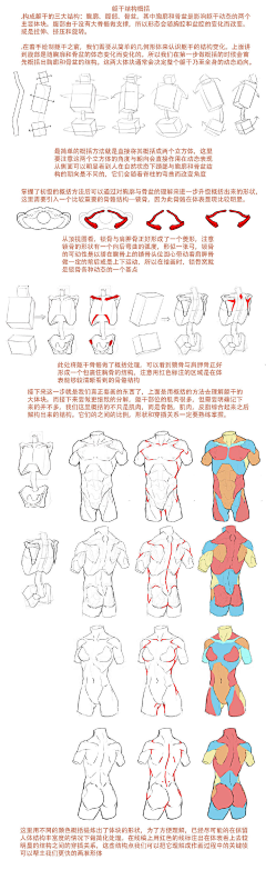 青魈采集到参考