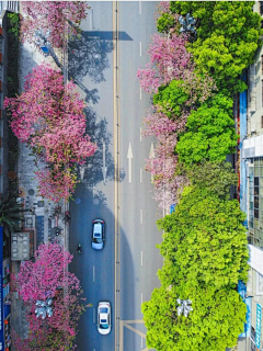 铅笔和橡皮才最搭采集到种植设计意向图