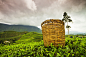 The Tea Basket by Hemant Buch on 500px