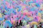 一周图片精选_图片站_新闻中心_腾讯　　当地时间2014年5月10日，德国汉堡，人群在投掷彩色粉末以庆祝胡里节。（AFP）
2014年05月16日10:37@北坤人素材