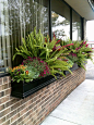 Our newly installed fall planters outside our office in Richfield. Plant material includes #pansies and #mums. #flowers