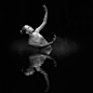 Photography: Richard Calmes   11