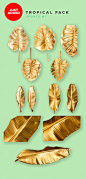 Gold Painted Leaves Collection : Gold Painted Leaves are a set of Hi Res 240 DPI PNG files of various leaves and tropical plants for use in mocking up your design projects.  Download today at http://tiny.cc/fhdeny