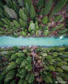 花儿匠采集到平面配景