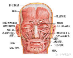 搬砖的秘银采集到细节2