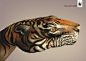 这6副WWF平面广告作品由萨奇Saatchi & Saatchi广告出品，“Give a hand to wildlife”指出世界上有很多濒临灭绝的动物需要得到人类的关注。这个创意获得戛纳广告节大奖。