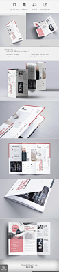 Trifold Brochure - Corporate Brochures