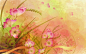 花卉插图自然壁纸（#680340）/ Wallbase.cc