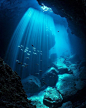 Sun beams highlight fish in a cavern. ✒＋ @alexmustard1