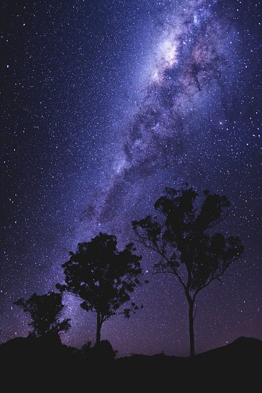 我跟你说星星很好看，就是星星真的很好看；...