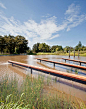 Sydney-Park-Water-Re-Use-Project_Photography-by-Simon-Wood.jpg (790×1000)