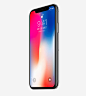 iPhoneX