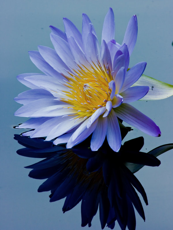 6adbcbd7dbee16a574bc07854027ffc78e375d35148aa-iOkd9j