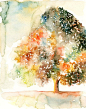 Romantic tree Print from my original watercolor painting by Ireart