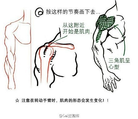 【绘画教材】简单易懂的人体结构和姿势的教...