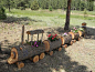 Log Train Planter with Flowers: 