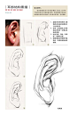 素描耳朵 (12)