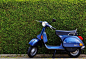 Blue Moped by Green Bush at Roadside