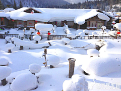 云途旅游采集到【云途旅游】东北雪乡、红叶谷站