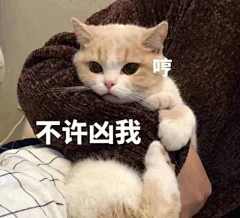 沉迷增肥日渐消瘦采集到猫咪表情包