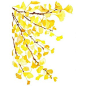 Handmade Watercolor Archival Art Print- Autumn Yellow Ginkgo Leaves