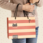 懒角落★日韩国 韩版卡通 小猫条纹礼袋  纸质手提袋 礼品袋13340