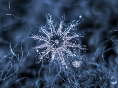 书维_采集到雪花