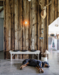 Remodeling 101: How to Build a Dog-Friendly House by