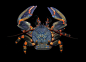 智利的五彩斑斓的瓷蟹，瓷蟹本身不算是螃蟹的一种，它们只是进化的像螃蟹的龙虾