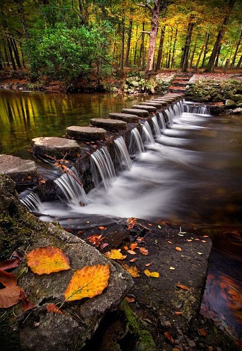 Stepping stones acro...