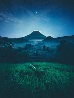 陆墨清采集到夜景 星空