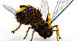 The Wasp, Yong-Ha Hwang : 3D doodling and kitbash Assembly.