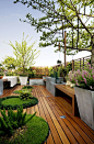 GING Roof deck garden - love the privacy trellis for the plants to vine on and the cool cutout living carpet.