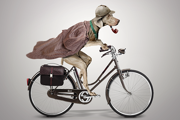 Dog on Bike : Graphi...