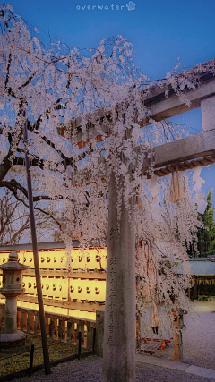 _____________♣____采集到风景